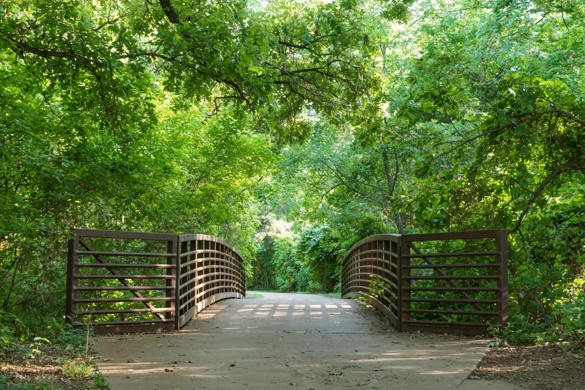 River Oaks Texas Homes for Sale